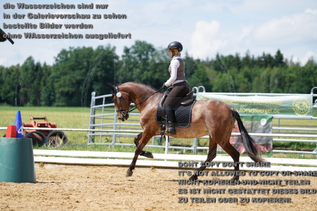 s_K3F04667.JPG